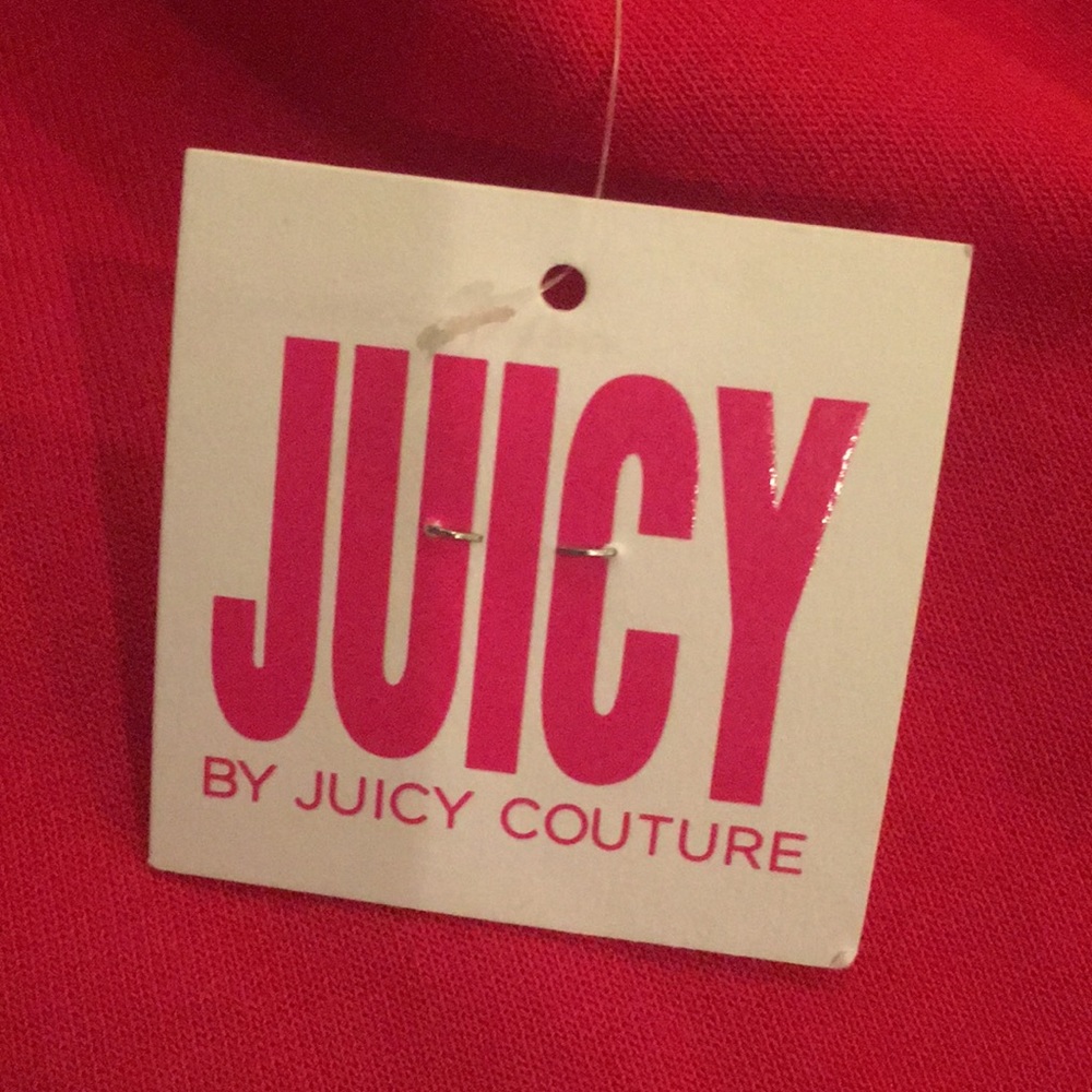 Juicy Couture Colorblock Sweatshirt in Large - Picture 14 of 16